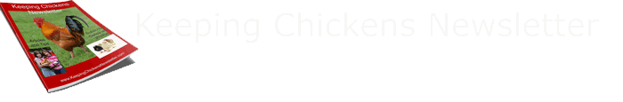 Keeping Chickens Newsletter